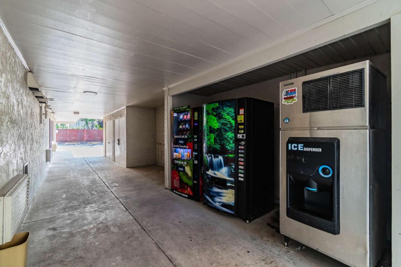 Motel 6 Tampa Near Fairgrounds - Casino Orient Park Buitenkant foto